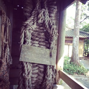 2015-10-31 13.47.31-1