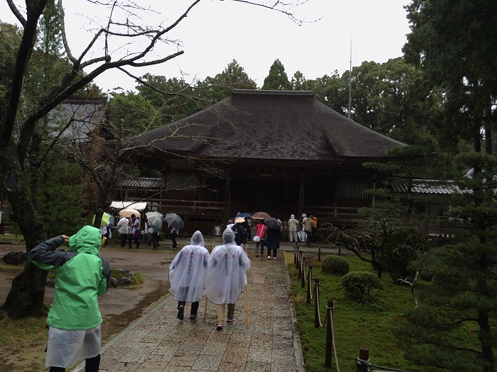 2015-11-14 15.16.06-1