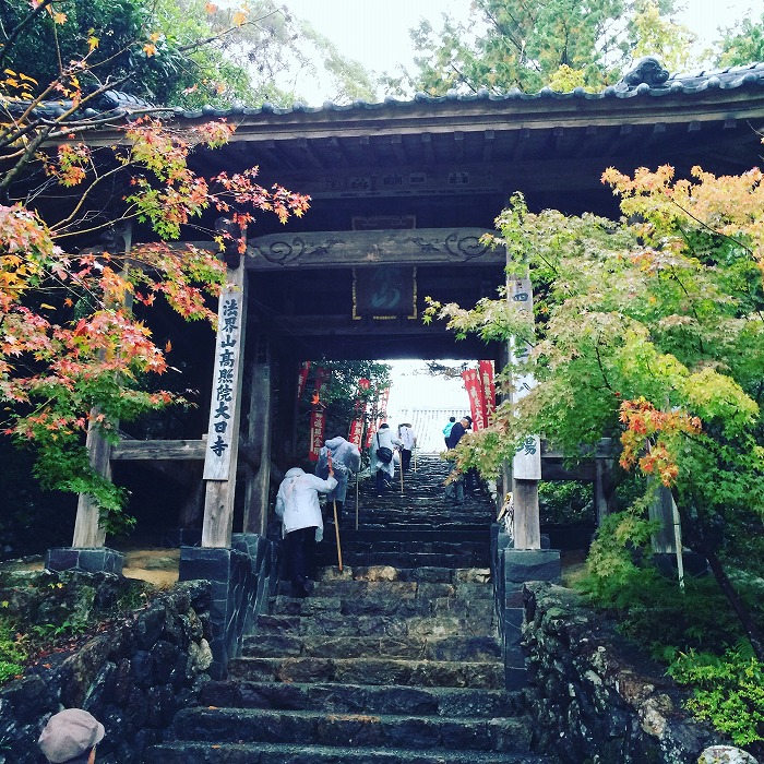 2015-11-14 16.15.14-1