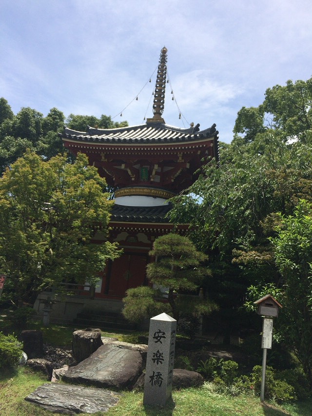 162810421-2016-07-05 09.05.04-29