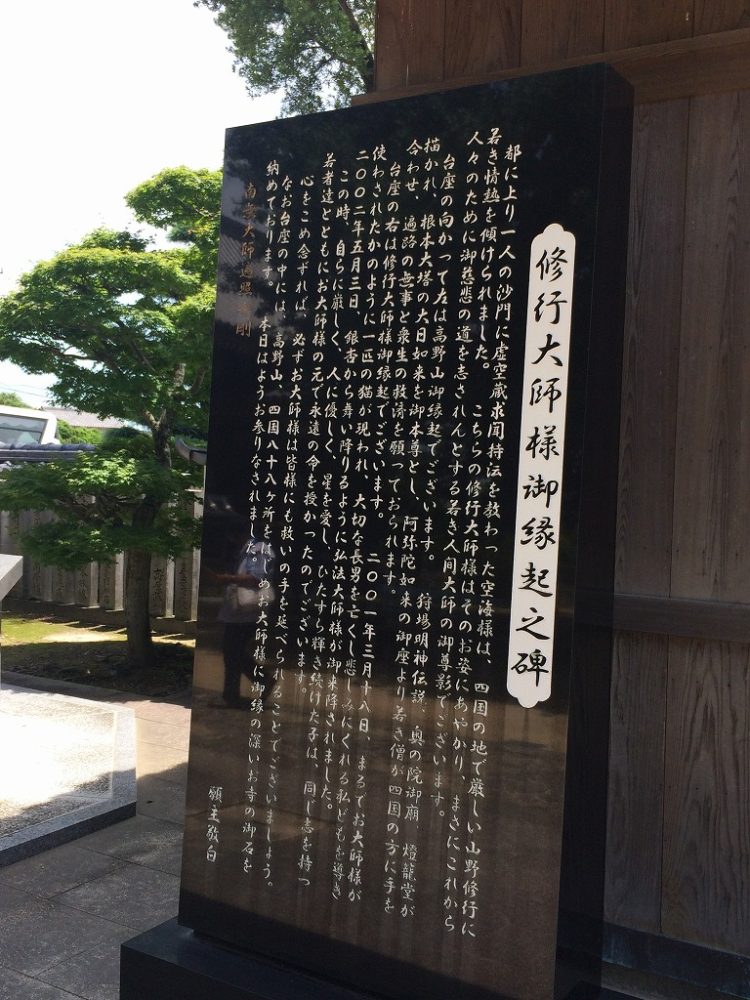 20160702-2016-07-02 12.45.04-1