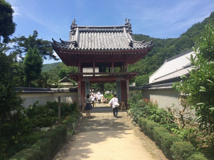 20160702-2016-07-02 13.16.04