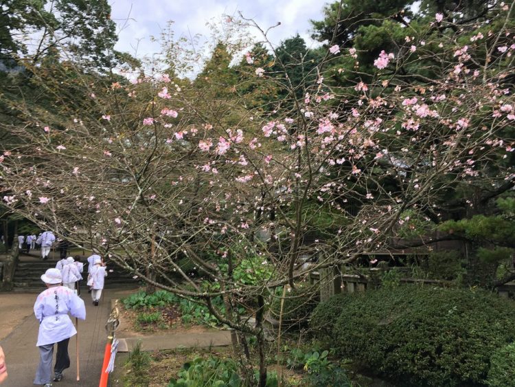 2016-10-29-11-47-55-hdr