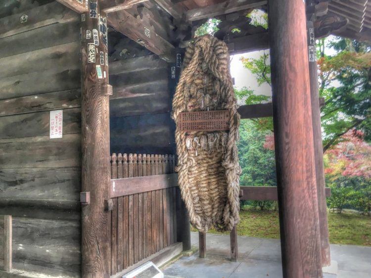 2016-11-08-09-32-01_tonemapped