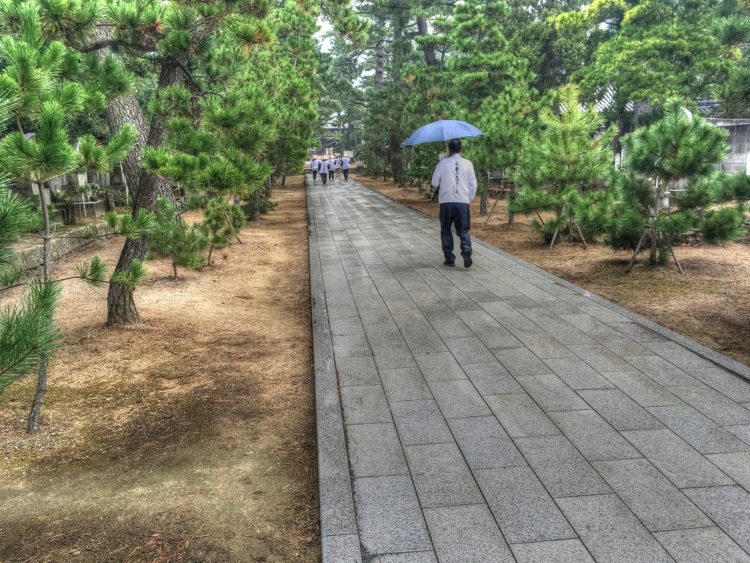 2016-11-08-11-43-16_tonemapped