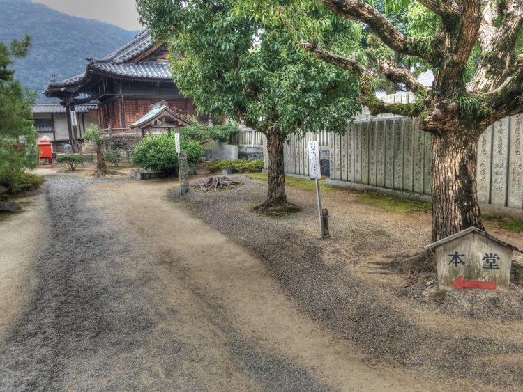 2016-11-08-12-35-26_tonemapped