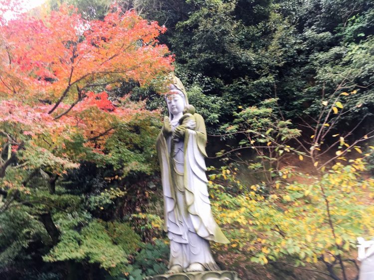 2016-11-19-13-06-53-1_tonemapped