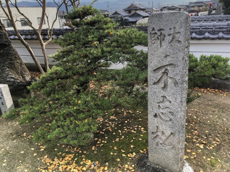 2016-11-19-15-04-44_tonemapped